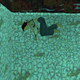 Screenshot: Tomb Raider